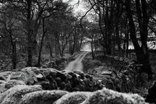Load image into Gallery viewer, MOSS AND STONE   England b&amp;w