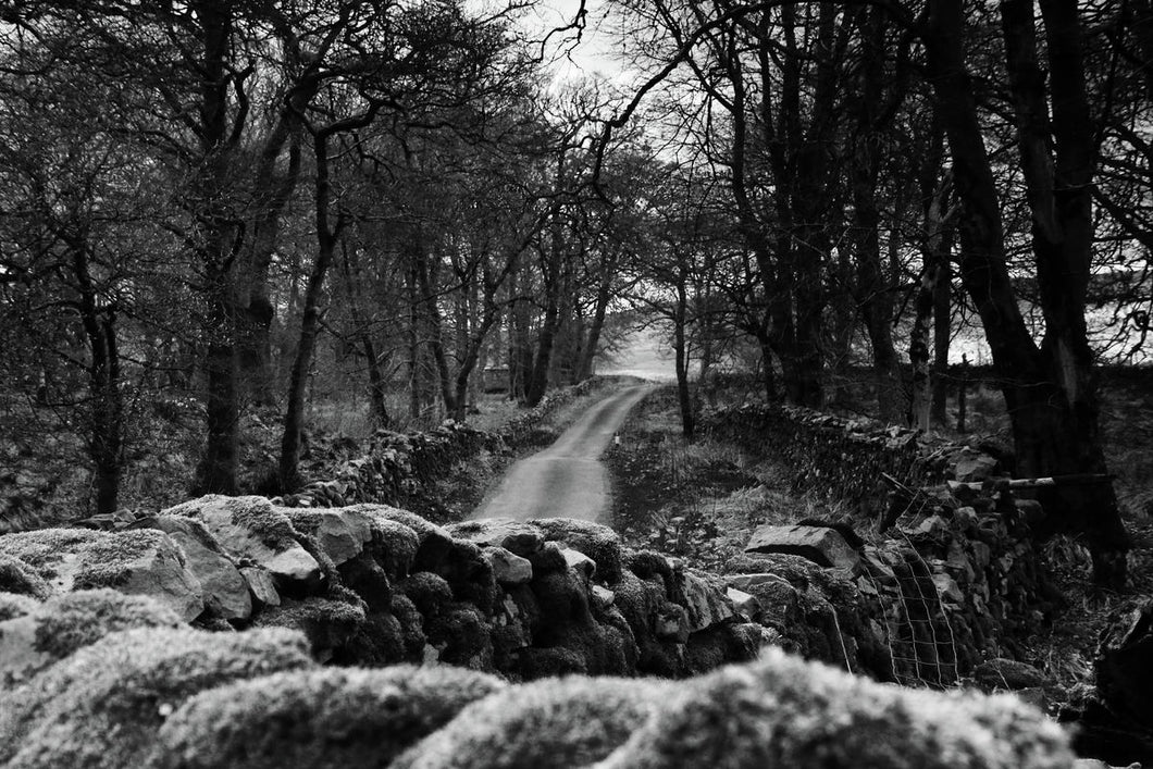 MOSS AND STONE   England b&w