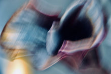 Load image into Gallery viewer, CALLA LILY IN TURQUOISE ROSE