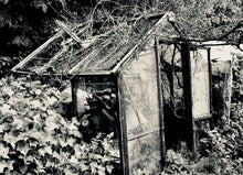 Load image into Gallery viewer, GREENHOUSE MEMORIES   England silvertone
