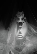 Load image into Gallery viewer, BANISH BIG GAME TROPHY HUNTING   b&amp;w
