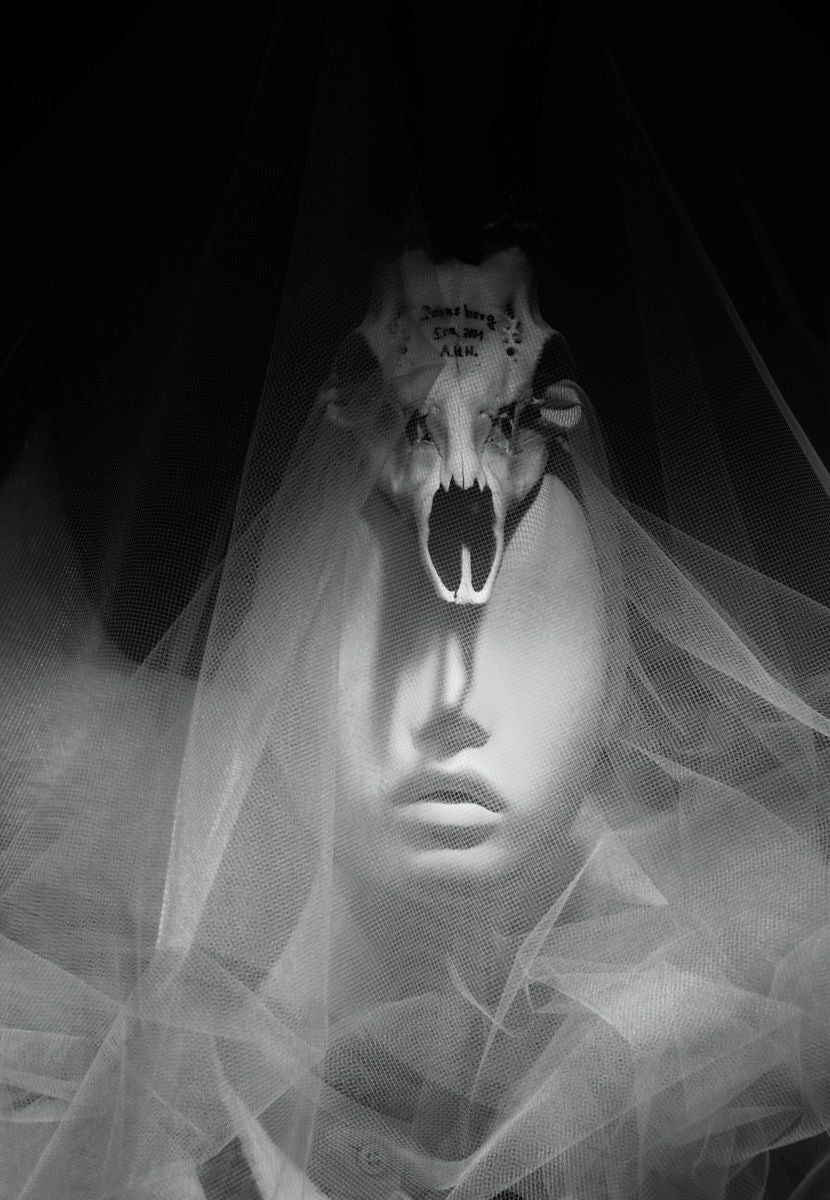 BANISH BIG GAME TROPHY HUNTING   b&w