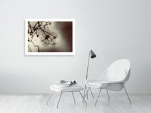 Load image into Gallery viewer, WINTER CLEMATIS  London