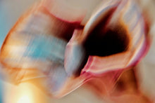 Load image into Gallery viewer, CALLA LILY IN MANDARIN ROSE