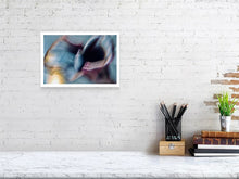Load image into Gallery viewer, CALLA LILY IN TURQUOISE ROSE