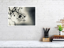 Load image into Gallery viewer, WINTER CLEMATIS   England silvertone