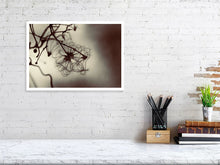 Load image into Gallery viewer, WINTER CLEMATIS  London