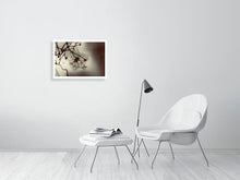 Load image into Gallery viewer, WINTER CLEMATIS  London