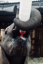 Load image into Gallery viewer, OH BABY YUM YUM   Kenya