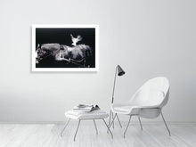 Load image into Gallery viewer, WHITE DOVE   France b&amp;w