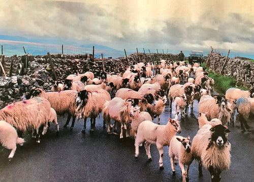 Pretty in Pink  England