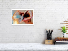 Load image into Gallery viewer, CALLA LILY IN MANDARIN ROSE