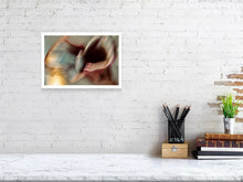 Load image into Gallery viewer, CALLA LILY IN GOLDEN ROSE