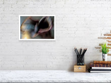 Load image into Gallery viewer, CALLA LILY IN BURGUNDY ROSE