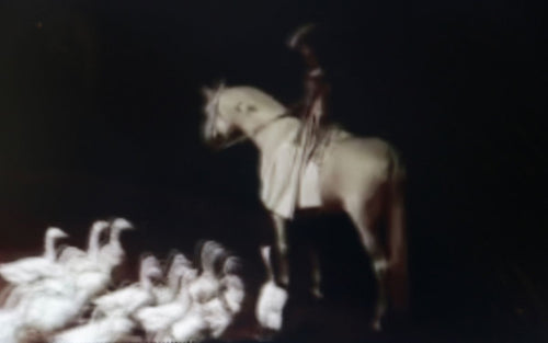 POWER OF ZEN   France